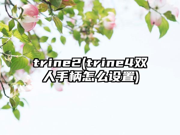 trine2(trine4双人手柄怎么设置)
