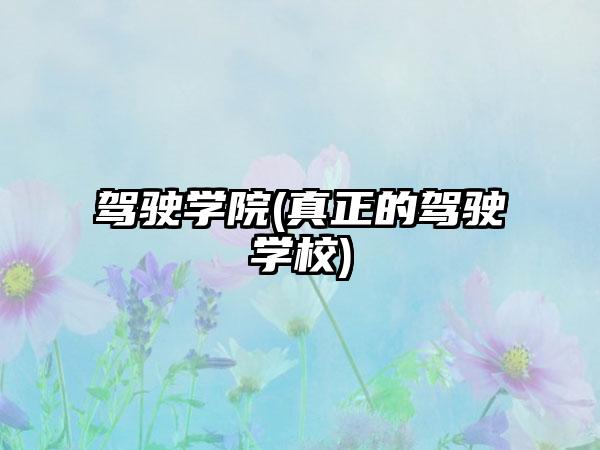 驾驶学院(真正的驾驶学校)