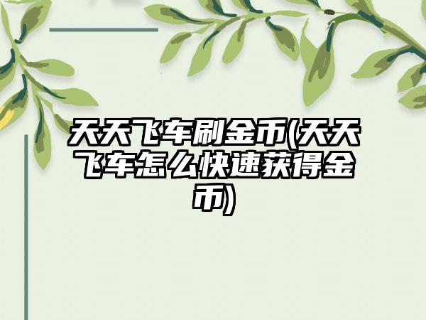 天天飞车刷金币(天天飞车怎么快速获得金币)