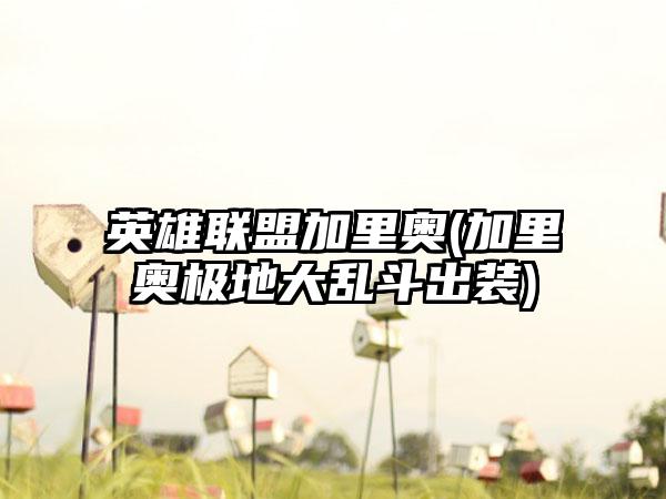 英雄联盟加里奥(加里奥极地大乱斗出装)