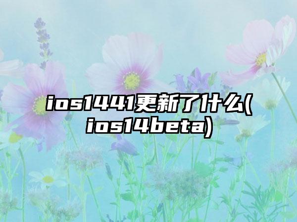 ios1441更新了什么(ios14beta)