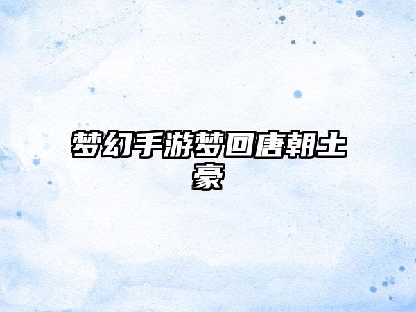 梦幻手游梦回唐朝土豪