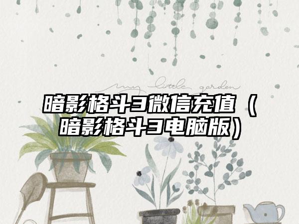 暗影格斗3微信充值（暗影格斗3电脑版）