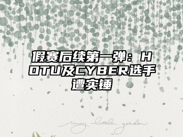 假赛后续第一弹：HOTU及CYBER选手遭实锤