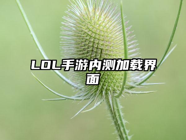 LOL手游内测加载界面