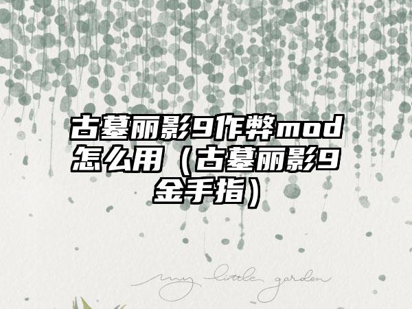 古墓丽影9作弊mod怎么用（古墓丽影9金手指）