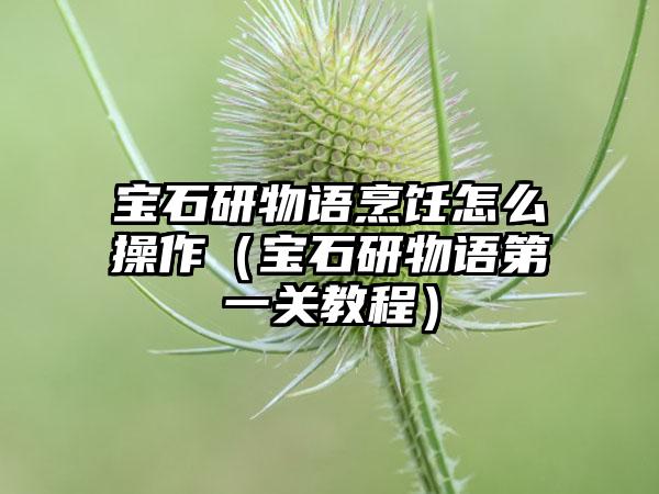 宝石研物语烹饪怎么操作（宝石研物语第一关教程）