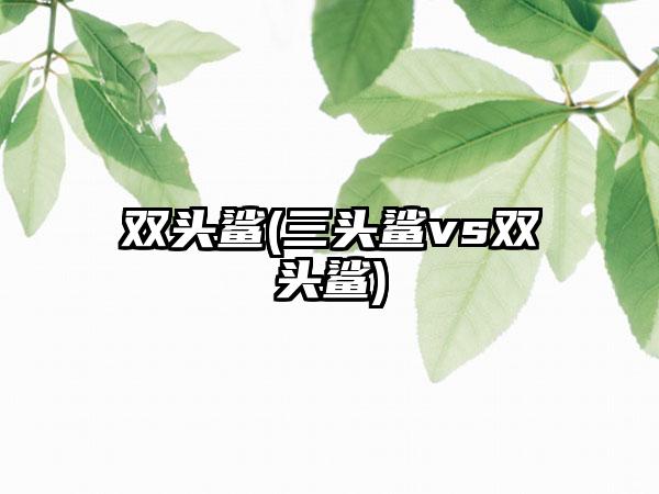 双头鲨(三头鲨vs双头鲨)