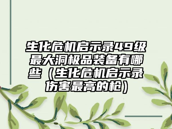 生化危机启示录49级最大洞极品装备有哪些（生化危机启示录伤害最高的枪）