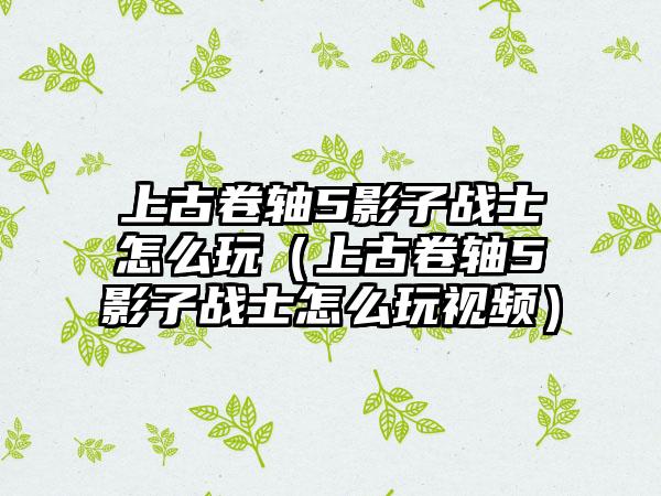 上古卷轴5影子战士怎么玩（上古卷轴5影子战士怎么玩视频）