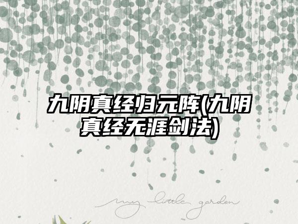 九阴真经归元阵(九阴真经无涯剑法)