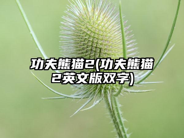 功夫熊猫2(功夫熊猫2英文版双字)
