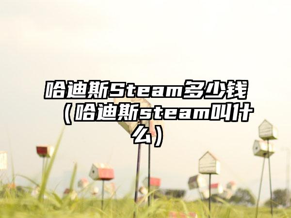 哈迪斯Steam多少钱（哈迪斯steam叫什么）