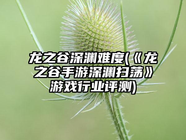 龙之谷深渊难度(《龙之谷手游深渊扫荡》游戏行业评测)