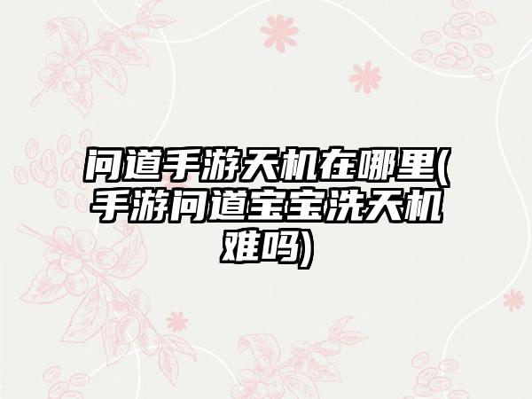 问道手游天机在哪里(手游问道宝宝洗天机难吗)