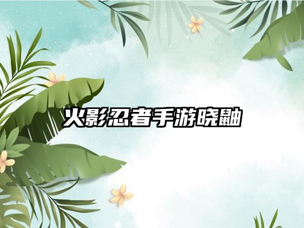 火影忍者手游晓鼬