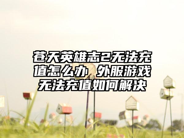 苍天英雄志2无法充值怎么办 外服游戏无法充值如何解决