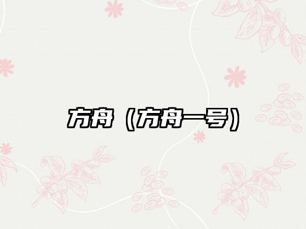 方舟（方舟一号）