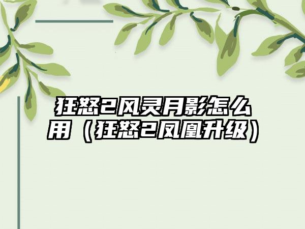 狂怒2风灵月影怎么用（狂怒2凤凰升级）
