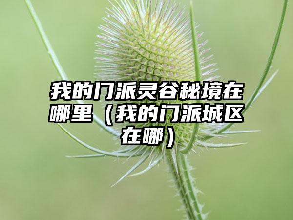 我的门派灵谷秘境在哪里（我的门派城区在哪）