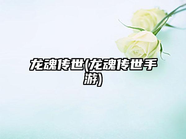 龙魂传世(龙魂传世手游)