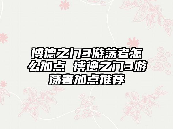 博德之门3游荡者怎么加点 博德之门3游荡者加点推荐