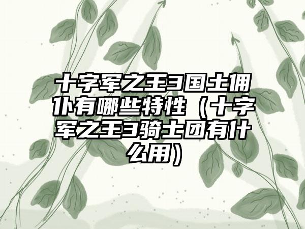 十字军之王3国土佣仆有哪些特性（十字军之王3骑士团有什么用）