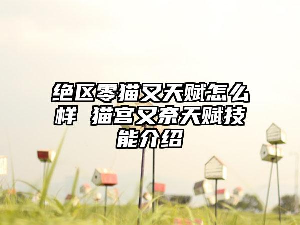 绝区零猫又天赋怎么样 猫宫又奈天赋技能介绍