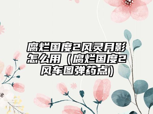 腐烂国度2风灵月影怎么用（腐烂国度2风车图弹药点）