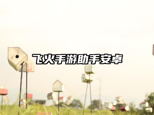 飞火手游助手安卓