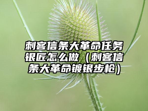 刺客信条大革命任务银匠怎么做（刺客信条大革命镀银步枪）