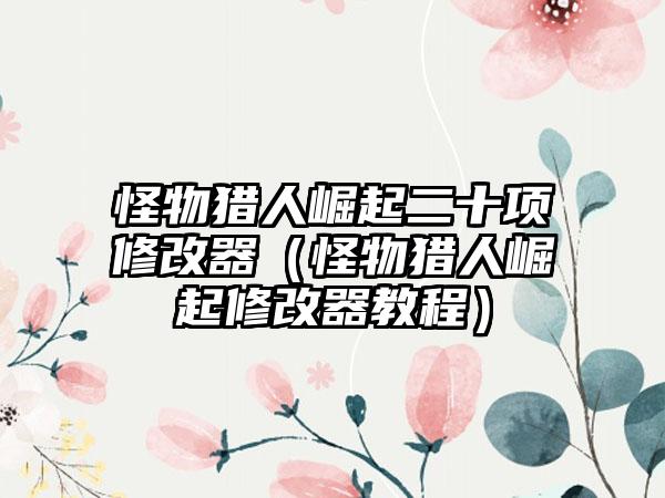 怪物猎人崛起二十项修改器（怪物猎人崛起修改器教程）