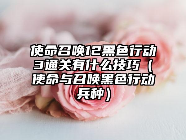 使命召唤12黑色行动3通关有什么技巧（使命与召唤黑色行动兵种）