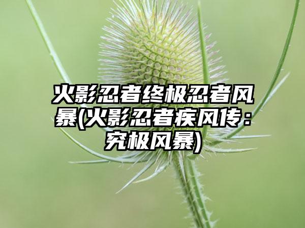 火影忍者终极忍者风暴(火影忍者疾风传：究极风暴)