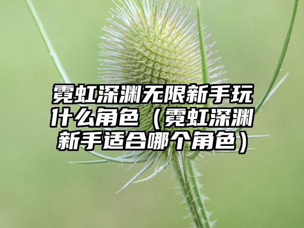 霓虹深渊无限新手玩什么角色(霓虹深渊新手适合哪个角色)