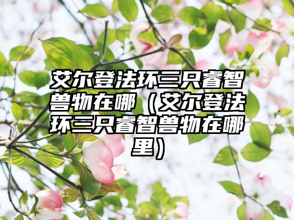 艾尔登法环三只睿智兽物在哪（艾尔登法环三只睿智兽物在哪里）