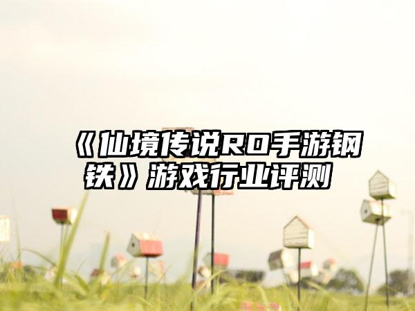 《仙境传说RO手游钢铁》游戏行业评测