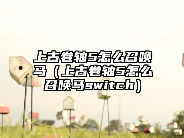 上古卷轴5怎么召唤马（上古卷轴5怎么召唤马switch）