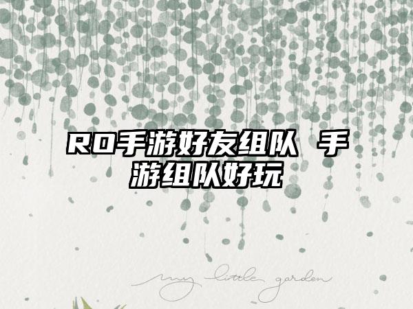 RO手游好友组队 手游组队好玩