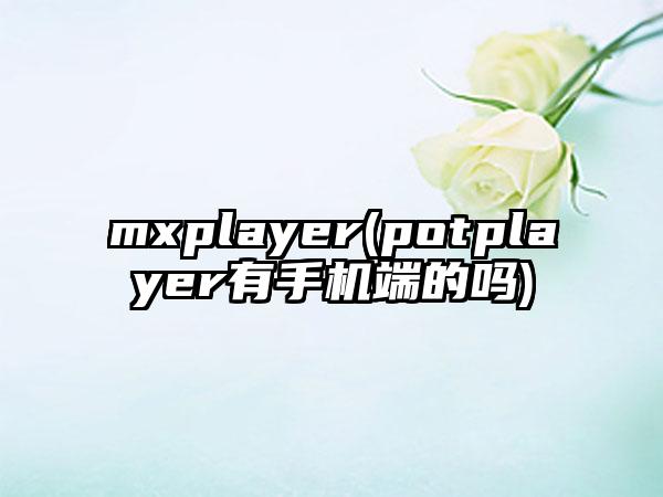 mxplayer(potplayer有手机端的吗)