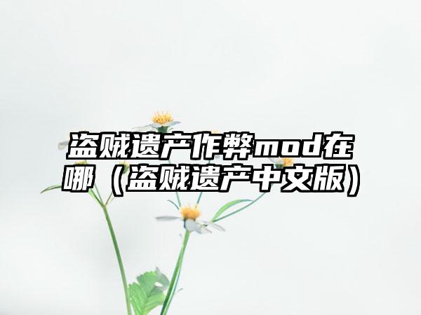 盗贼遗产作弊mod在哪（盗贼遗产中文版）
