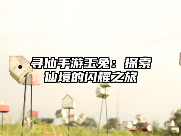 寻仙手游玉兔：探索仙境的闪耀之旅