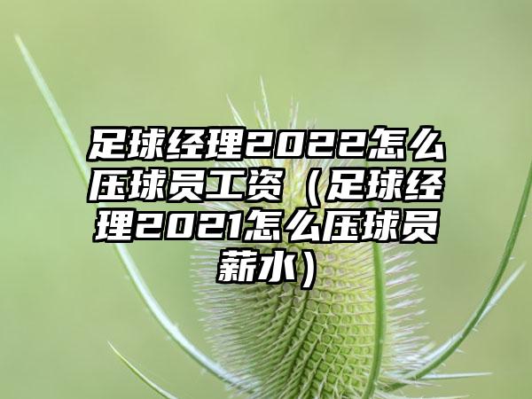 足球经理2022怎么压球员工资（足球经理2021怎么压球员薪水）