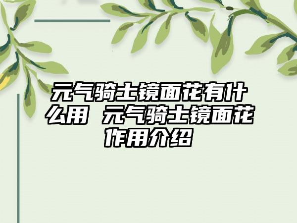 元气骑士镜面花有什么用 元气骑士镜面花作用介绍