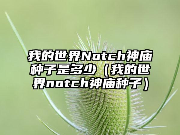 我的世界Notch神庙种子是多少（我的世界notch神庙种子）