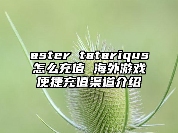 aster tatariqus怎么充值 海外游戏便捷充值渠道介绍