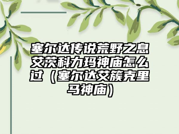 塞尔达传说荒野之息艾茨科力玛神庙怎么过（塞尔达艾簇克里马神庙）