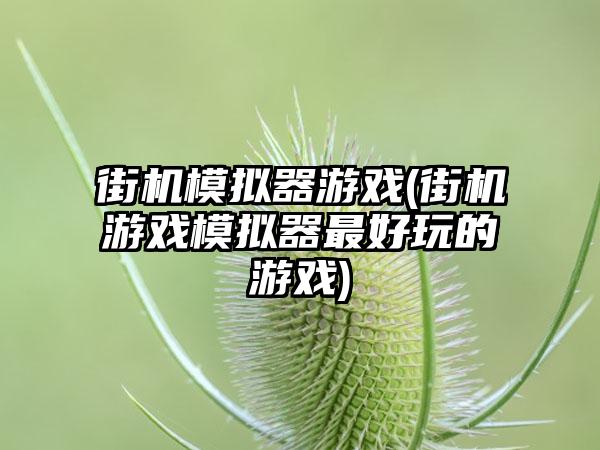 街机模拟器游戏(街机游戏模拟器最好玩的游戏)
