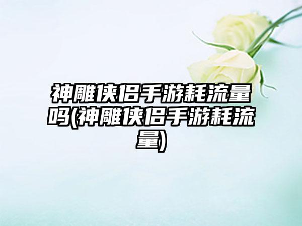神雕侠侣手游耗流量吗(神雕侠侣手游耗流量)