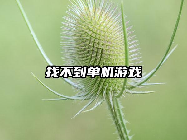 国家政务服务平台小程序，微信国家服务平台